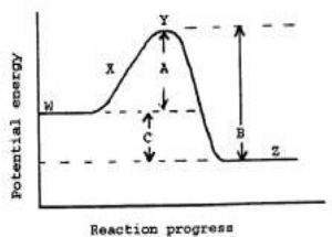 Reaction Profile Diagram This is the graph of potential energy on Y- axis against progress of reaction on X-axis